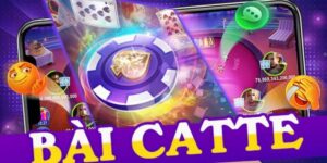Bài Catte Là Gì? Nguồn Gốc Và Đặc Trưng Cơ Bản