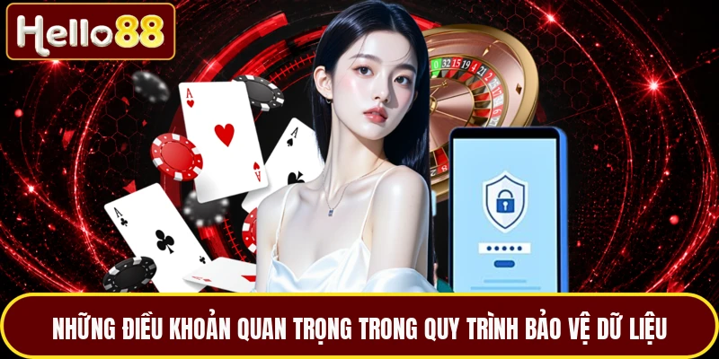 Những điều khoản quan trọng trong quy trình bảo vệ dữ liệu