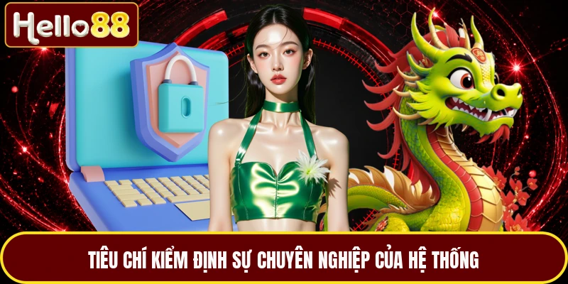 Tiêu chí kiểm định sự chuyên nghiệp của hệ thống